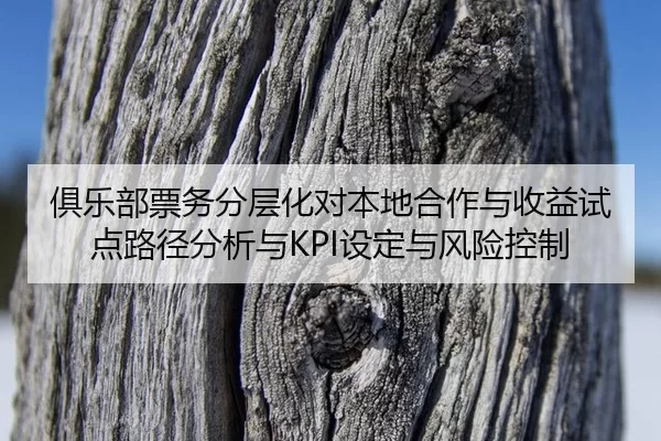 ju-le-bu-piao-wu-fen-ceng-hua-dui-ben-di-he-zuo-yu-shou-yi-shi-dian-lu-jing-fen-xi-yu-she-ding-yu-feng-xian-kong-zhi-1-821.jpg