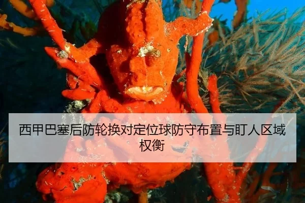xi-jia-ba-sai-hou-fang-lun-huan-dui-ding-wei-qiu-fang-shou-bu-zhi-yu-ding-ren-qu-yu-quan-heng-2-174.jpg